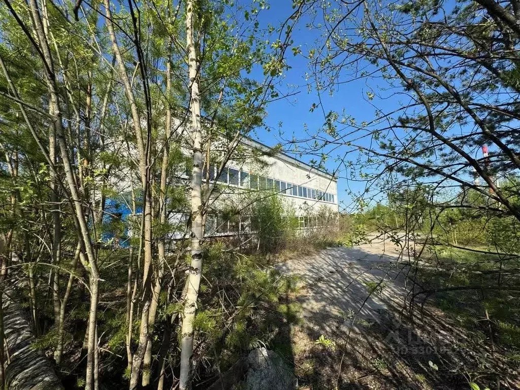 Склад в Пермский край, Добрянка ул. Промышленная, 20А (288 м) - Фото 1