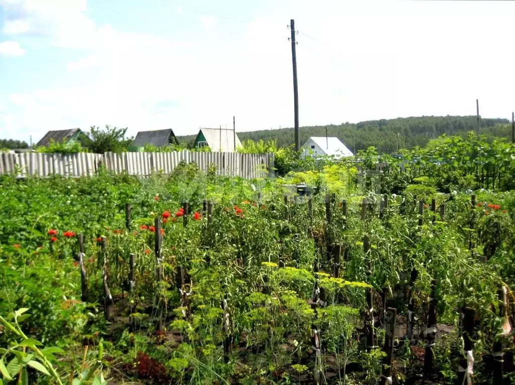 Дом в Новосибирская область, Искитимский район, Чернореченский ... - Фото 2
