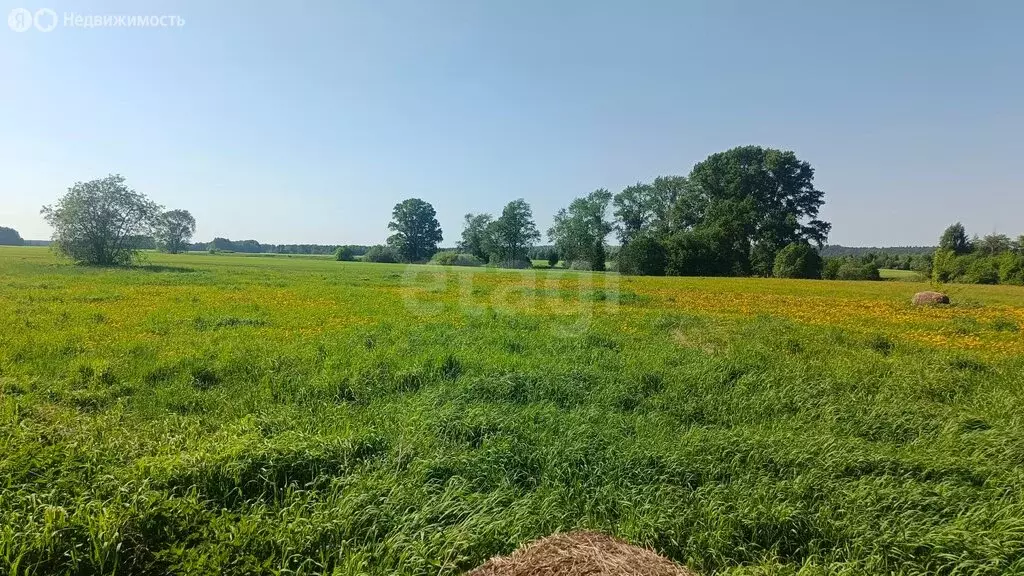 Участок в Можгинский район, село Красный Яр, Речная улица (26 м) - Фото 2