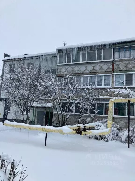 1-к кв. Нижегородская область, Богородский муниципальный округ, д. ... - Фото 1