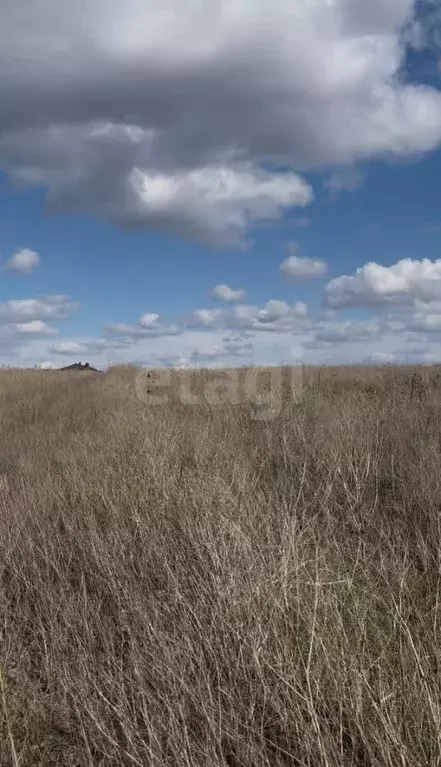 Участок в Ростовская область, Аксайский район, Щепкинское с/пос, пос. ... - Фото 1