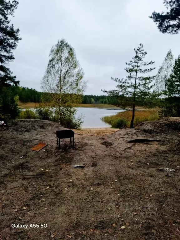 Участок в Марий Эл, Медведевский район, Сидоровское с/пос, Березка ... - Фото 1