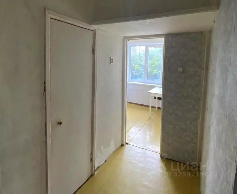 1-к кв. Омская область, Омск ул. Арнольда Нейбута, 64 (32.8 м) - Фото 1