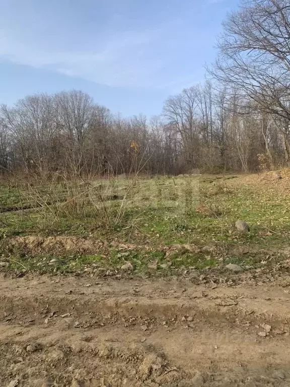 Участок в Адыгея, Майкопский район, Абадзехская ст-ца ул. Винника ... - Фото 1