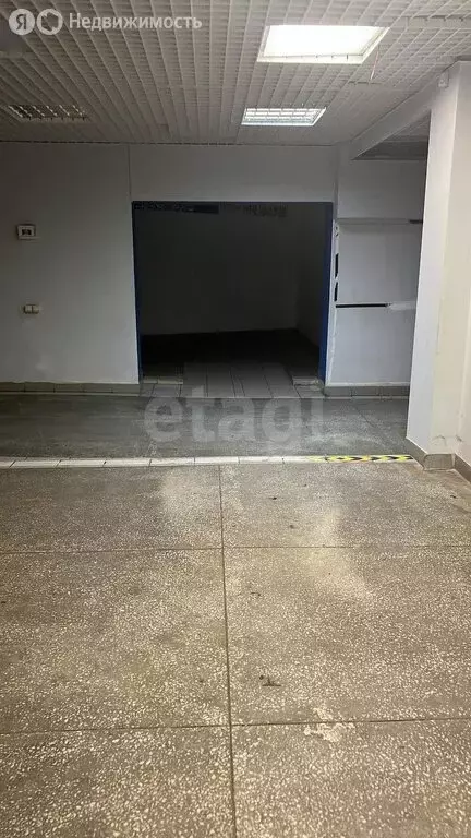 Помещение свободного назначения (61.5 м) - Фото 2