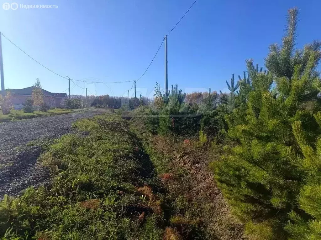 Участок в Тюменский муниципальный округ, деревня Ушакова (20 м) - Фото 1