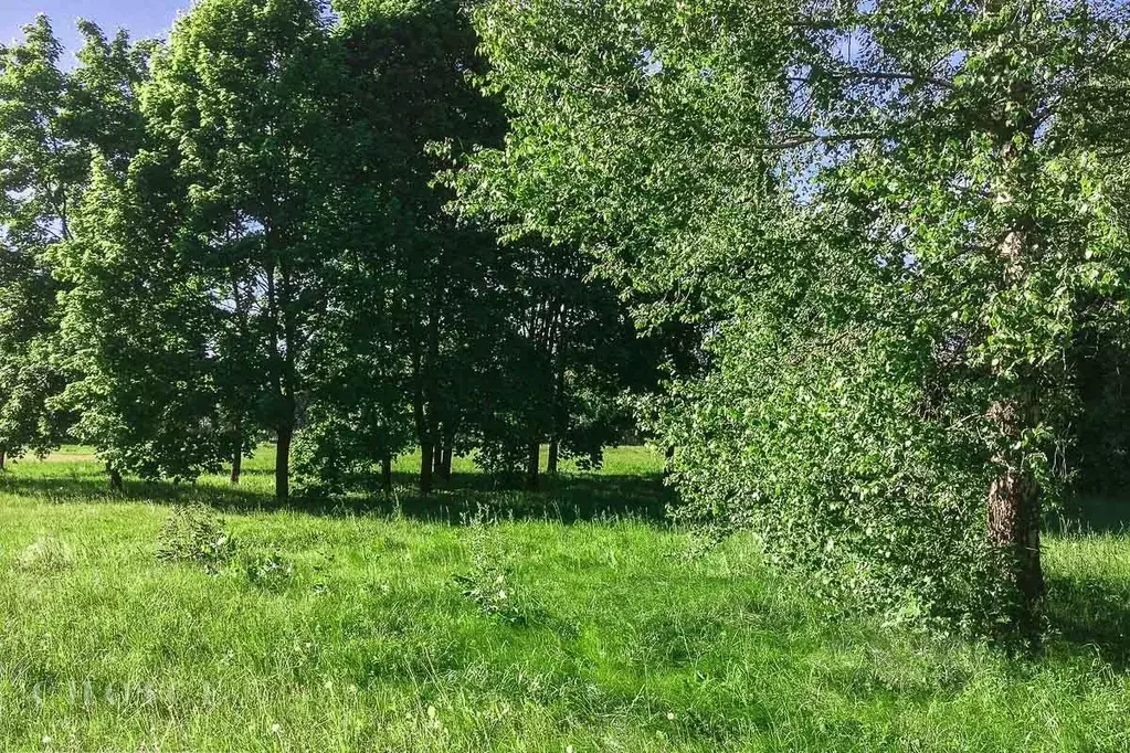 Участок в Московская область, Одинцовский городской округ, д. Жуковка  ... - Фото 0