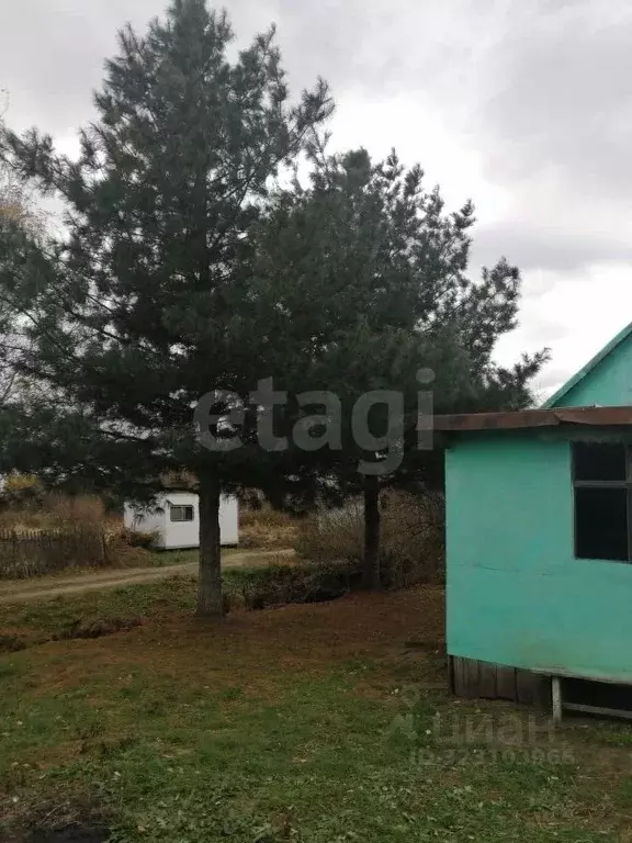 Дом в Хабаровский край, Хабаровский район, Тополевское с/пос, с. ... - Фото 1