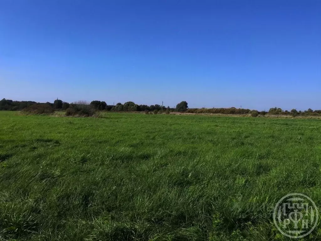 Участок в Ленинградская область, Выборгский район, пос. Гончарово  ... - Фото 1