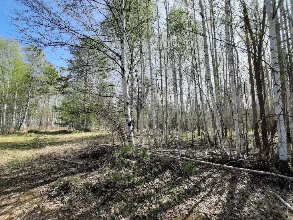 Участок 15 сот. (ИЖС) - Фото 0