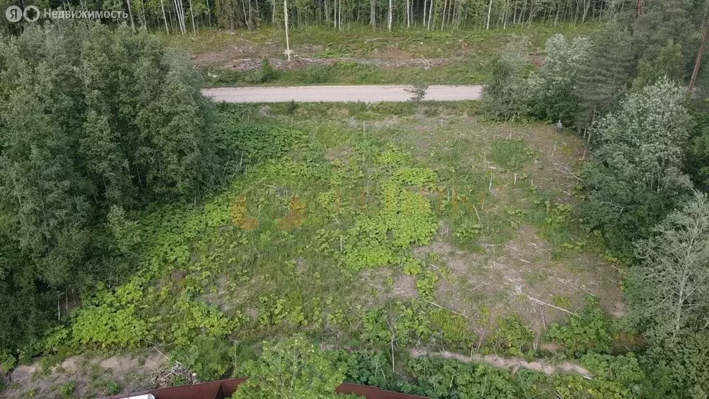 Участок в посёлок Парголово, Ленинградская улица (12 м) - Фото 2