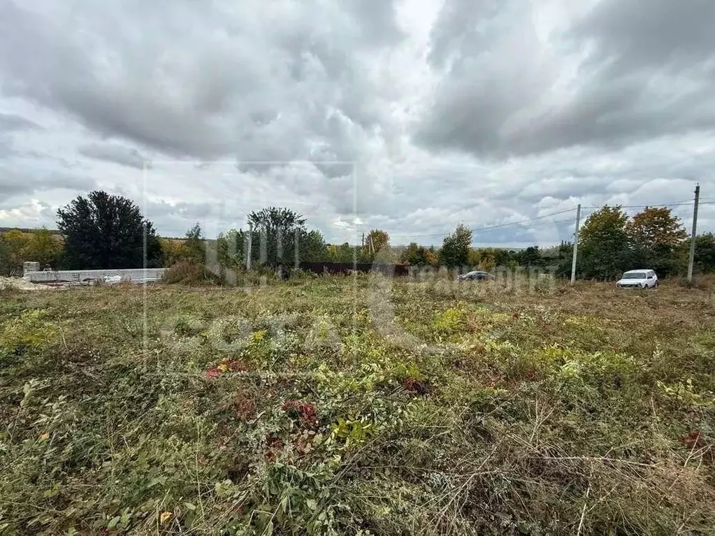 Участок в Воронежская область, Рамонский район, Новоживотинновское ... - Фото 1