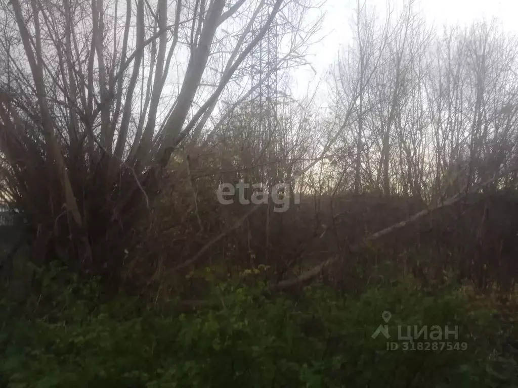 Участок в Калининградская область, Балтийск Лесное-3 СНТ, ул. Веселая ... - Фото 0
