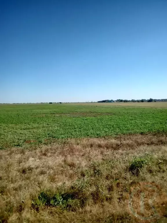 Участок в Крым, Сакский район, с. Штормовое  (6.0 сот.) - Фото 1