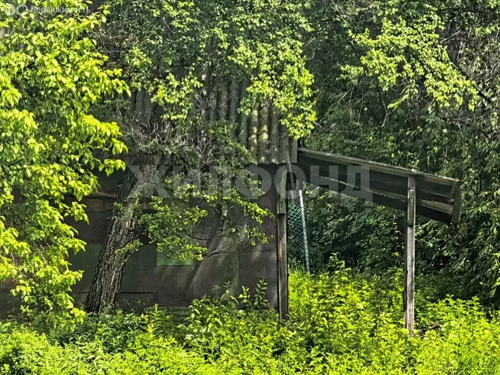Участок в Амурская область, Благовещенск (8 м) - Фото 2