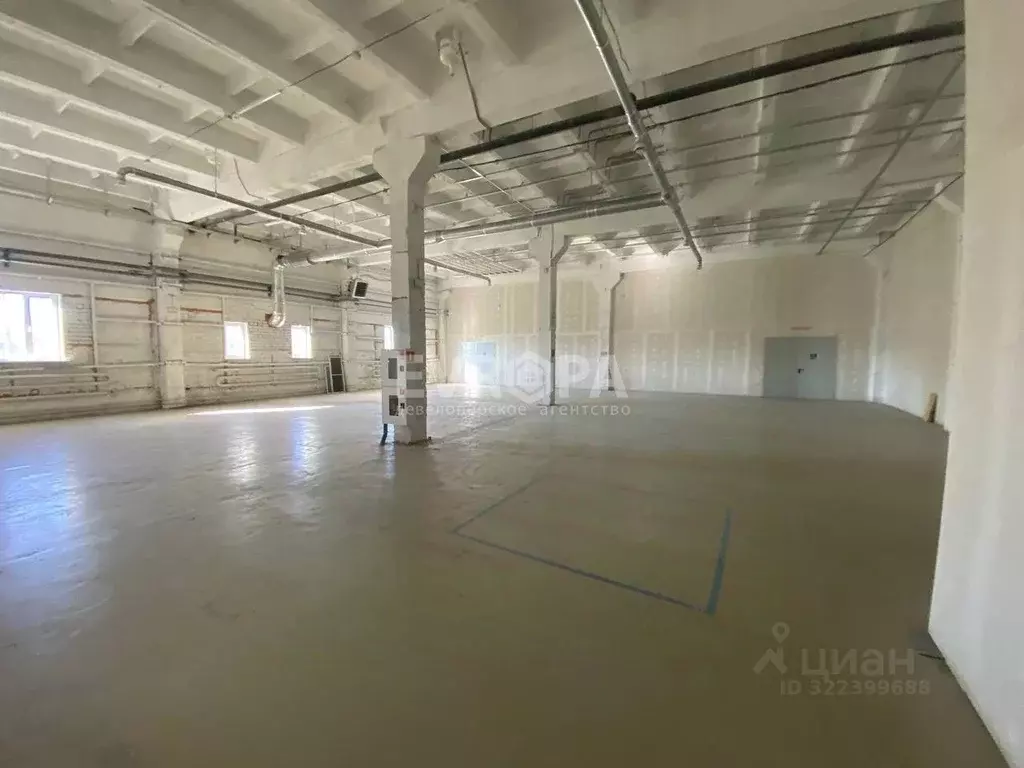 Склад в Ульяновская область, Ульяновск Октябрьская ул., 22с24 (280 м) - Фото 2