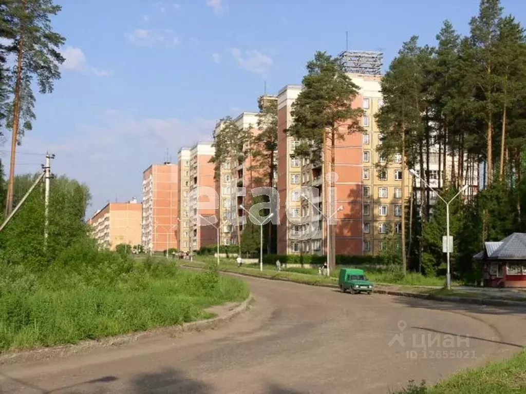 В поселке городского типа 19 жилых домов. Чистые боры Костромская область. Поселок чистые боры Буйского района Костромской области. Сосновый Бор чистые боры. Сосновый Бор в посёлке чистые боры.