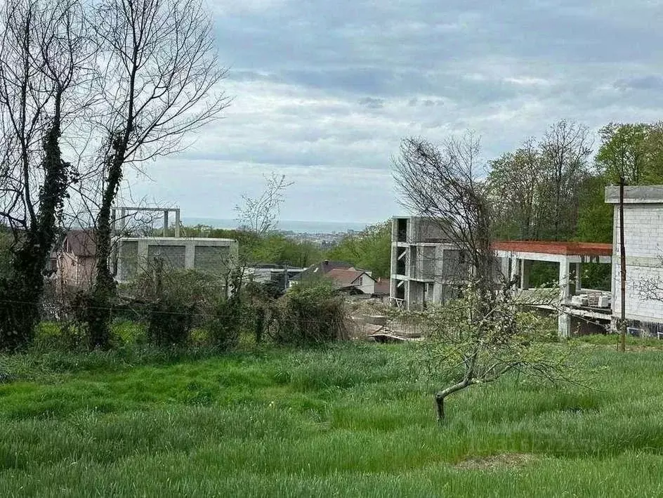 Участок в Краснодарский край, Сочи городской округ, с. Верхневеселое ... - Фото 1