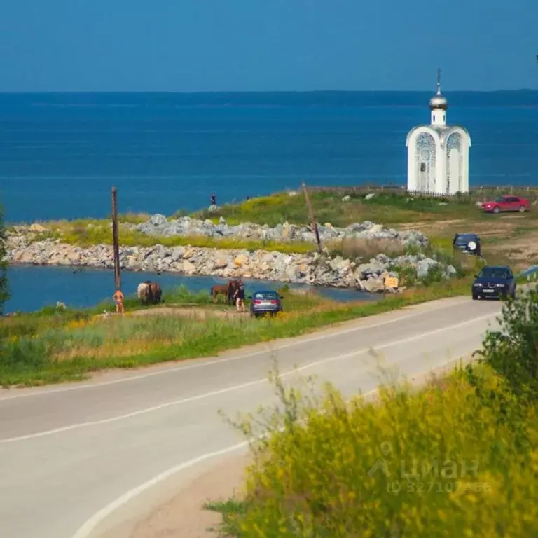 Участок в Новосибирская область, Искитимский район, Быстровский ... - Фото 1