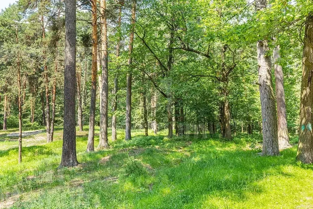 Участок в Московская область, Истра городской округ, с. Павловская ... - Фото 1