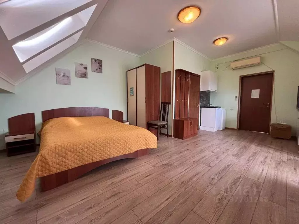 Комната Краснодарский край, Сочи городской округ, Дагомыс пгт ул. ... - Фото 1