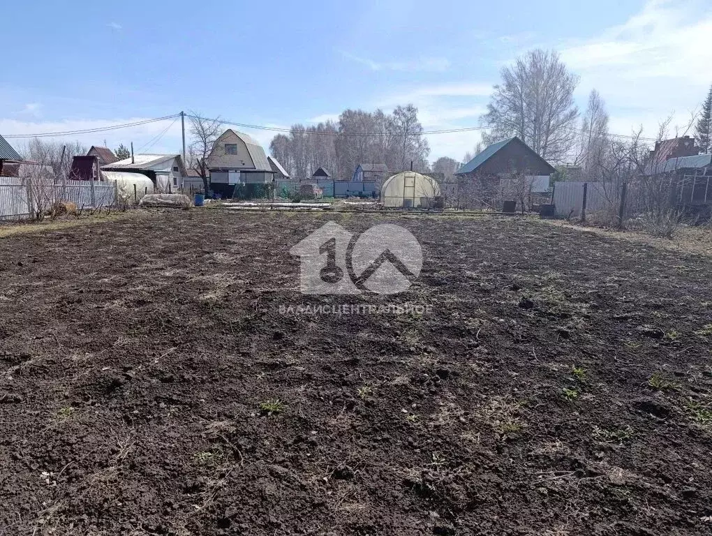 Участок в Новосибирская область, Бердск Майское СНТ, 241 (5.5 сот.) - Фото 1