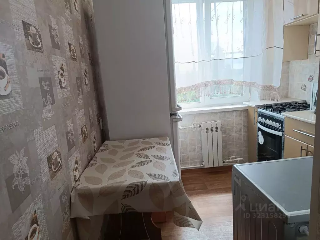 1-к кв. Липецкая область, Елец ул. Коммунаров, 103А (30.0 м) - Фото 2