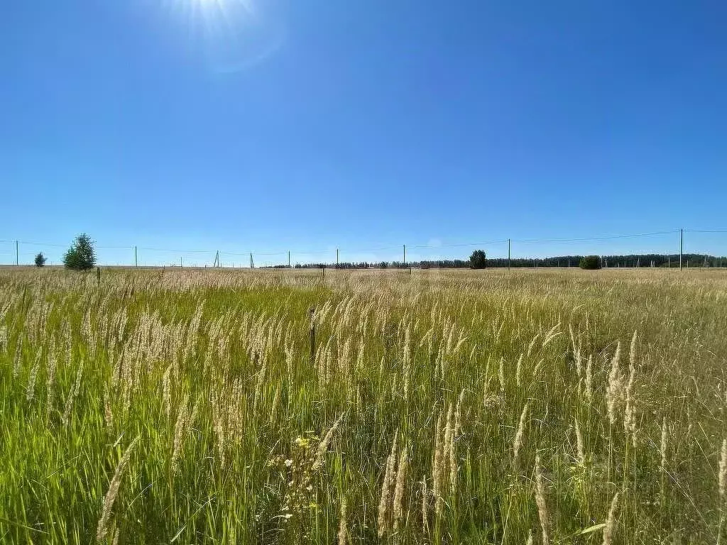 Участок в Татарстан, Балтаси пгт ул. Ялкын, 6 (10.0 сот.) - Фото 1