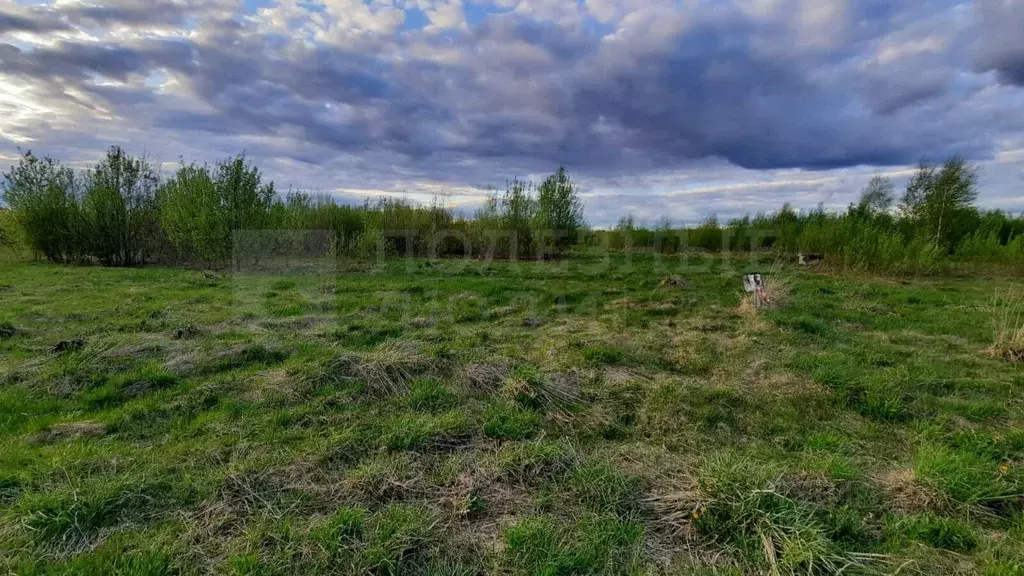 Участок в Новгородская область, Новгородский район, Ракомское с/пос, ... - Фото 0
