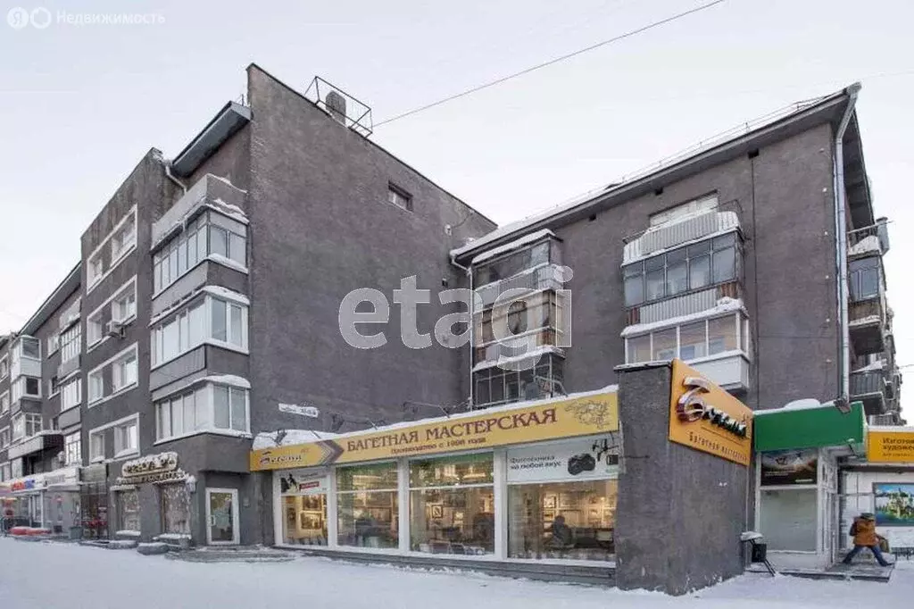 1-комнатная квартира: Новосибирск, Красный проспект, 59 (17.8 м) - Фото 0
