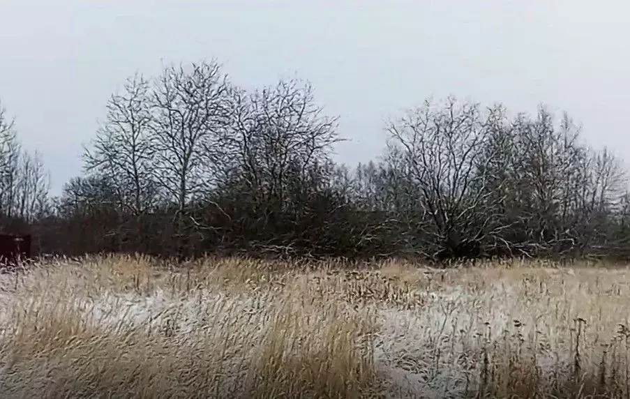 Участок в Московская область, Чехов муниципальный округ, д. Захарково  ... - Фото 1