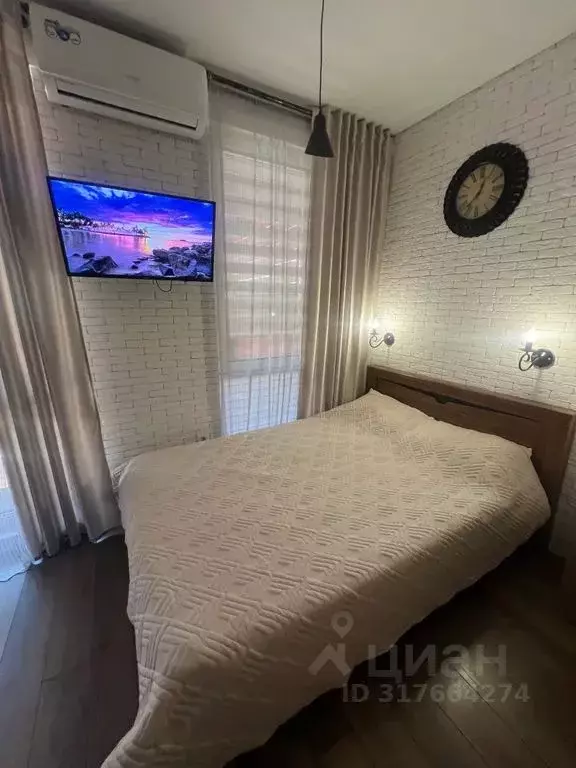 Студия Краснодарский край, Сочи ул. Ленина, 298В/3 (25.0 м) - Фото 1