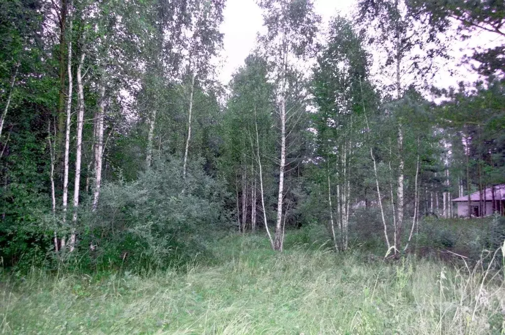 Участок в Свердловская область, Белоярский муниципальный округ, пос. ... - Фото 2