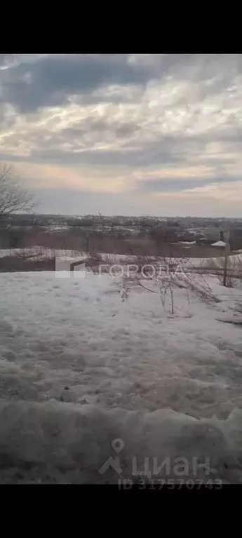 Участок в Алтайский край, Барнаул городской округ, с. Гоньба ул. ... - Фото 1