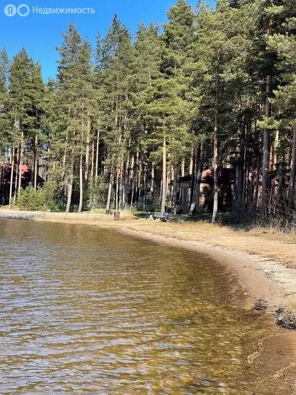 Участок в Плодовское сельское поселение, посёлок Соловьёвка (31.3 м) - Фото 2