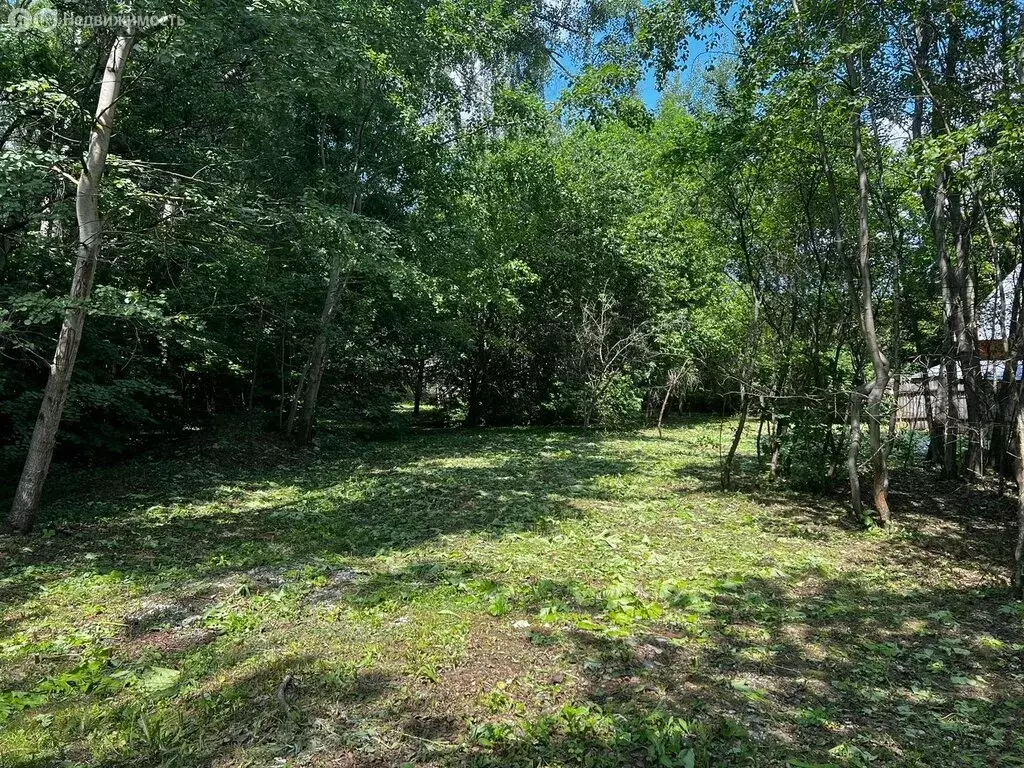 Участок в деревня Жабкино, СНТ Нектар, 147 (15 м) - Фото 2