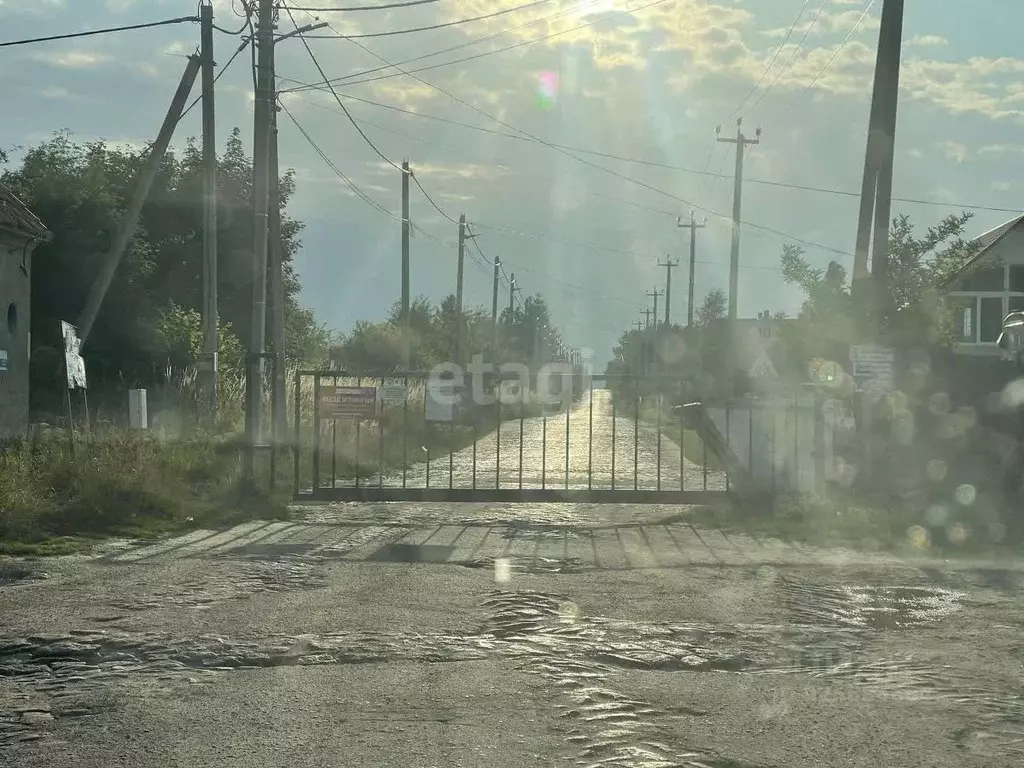 Участок в Калининградская область, Янтарный городской округ, пос. ... - Фото 1