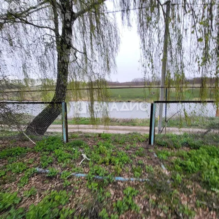 Участок в Белгородская область, Яковлевский муниципальный округ, село ... - Фото 1