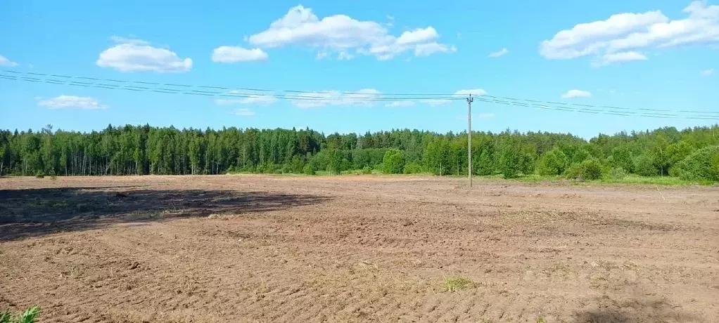 Участок в Новгородская область, Новгородский район, д. Сопки ул. ... - Фото 1