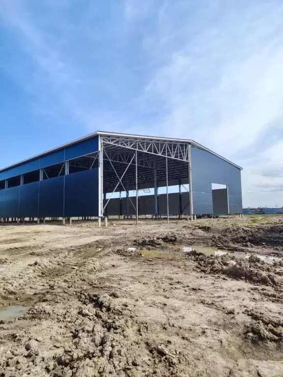 Склад в Ленинградская область, Ломоносовский район, Русско-Высоцкое ... - Фото 1