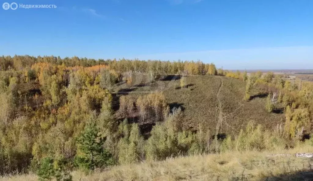 Участок в Тюменская область, Исетский муниципальный округ, деревня ... - Фото 1