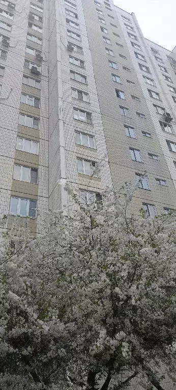 Продается 1-комнатная квартира - Фото 2