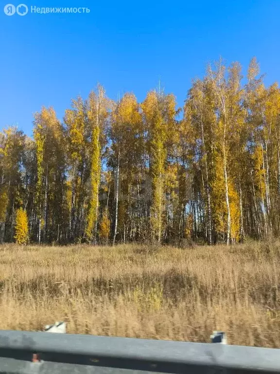 Участок в Тюменская область, Нижнетавдинский муниципальный округ, ... - Фото 2