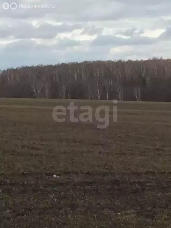 Участок в Заокский район, сельское поселение Демидовское, село ... - Фото 1