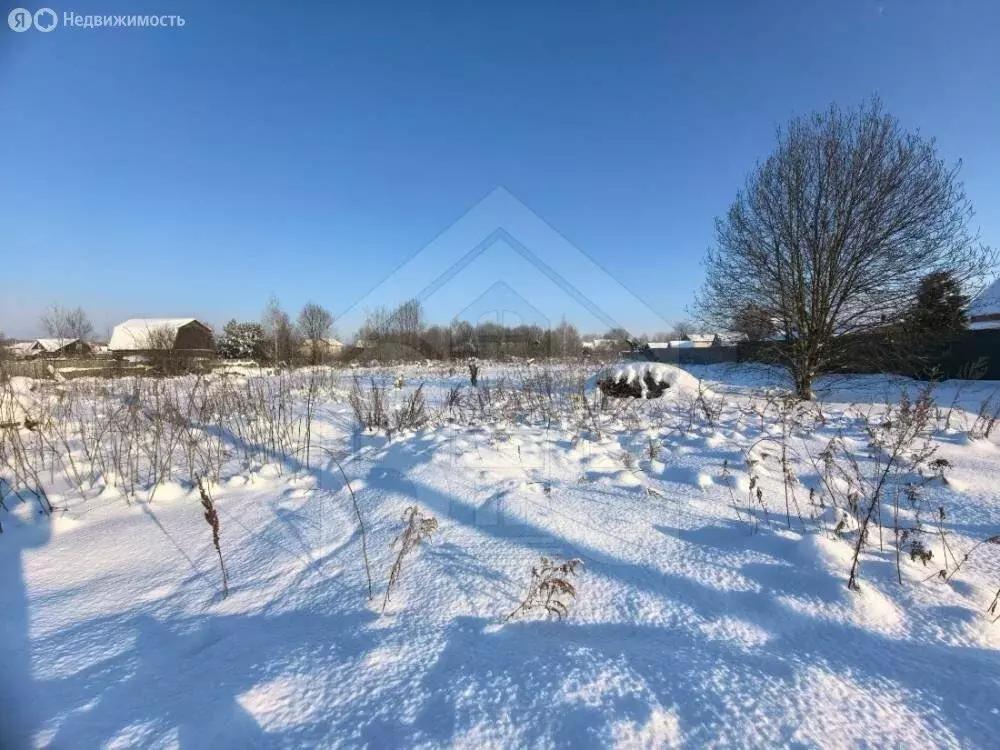 Участок в Московская область, Раменский муниципальный округ, село ... - Фото 2