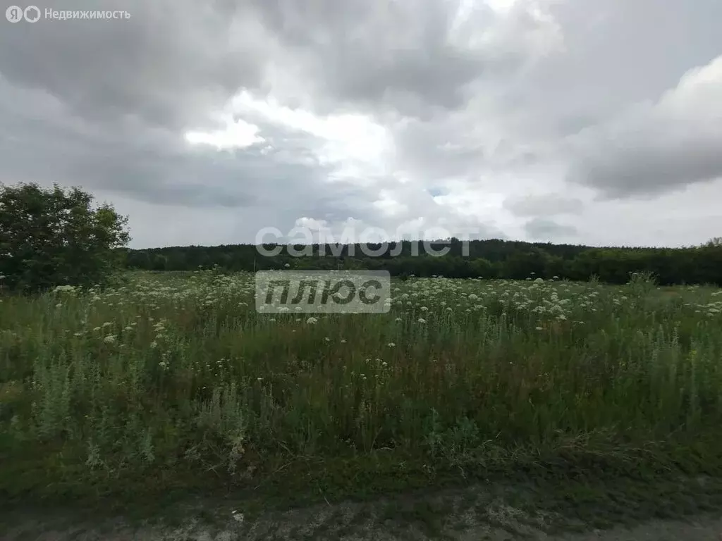 Участок в Пензенский район, Засечный сельсовет, село Засечное (13 м) - Фото 1