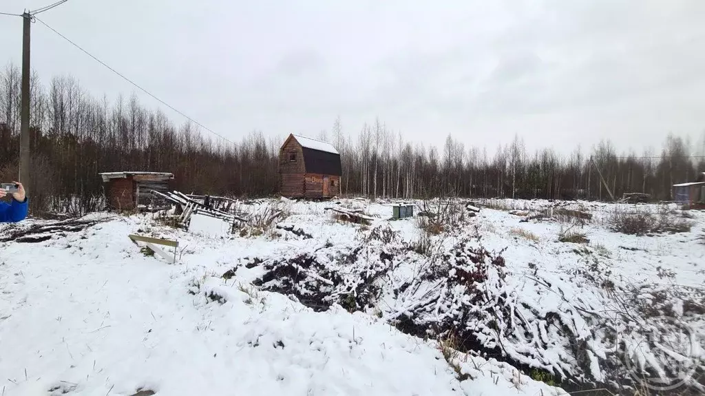 Участок в Ленинградская область, Всеволожский район, Рахьинское ... - Фото 2