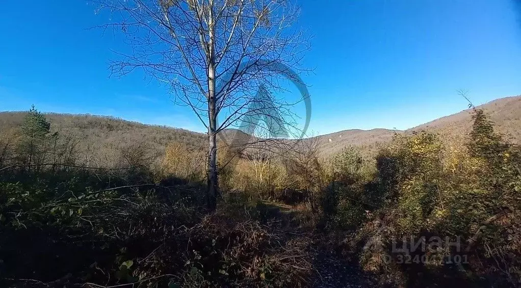 Участок в Краснодарский край, Туапсинский муниципальный округ, ... - Фото 1