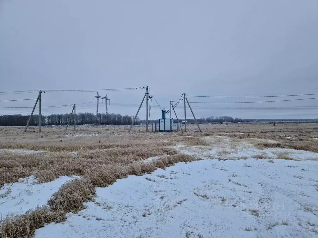 Участок в Тюменская область, Тюменский район, с. Каменка, Завидово кп  ... - Фото 1