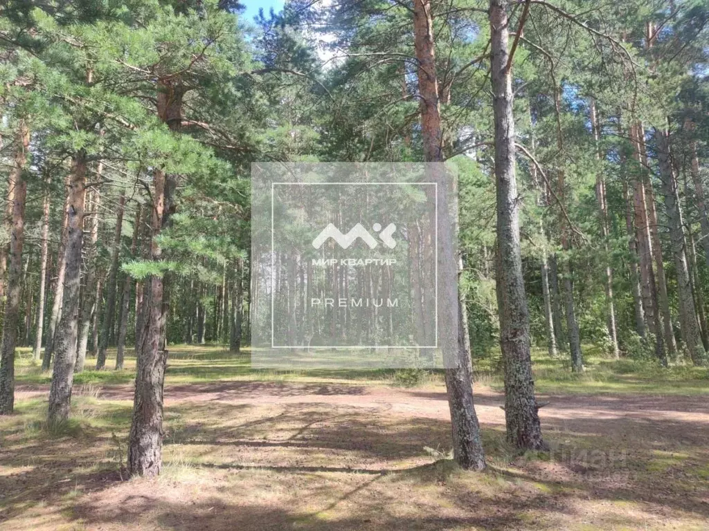 Участок в Санкт-Петербург Озерки тер.,  (18.87 сот.) - Фото 1